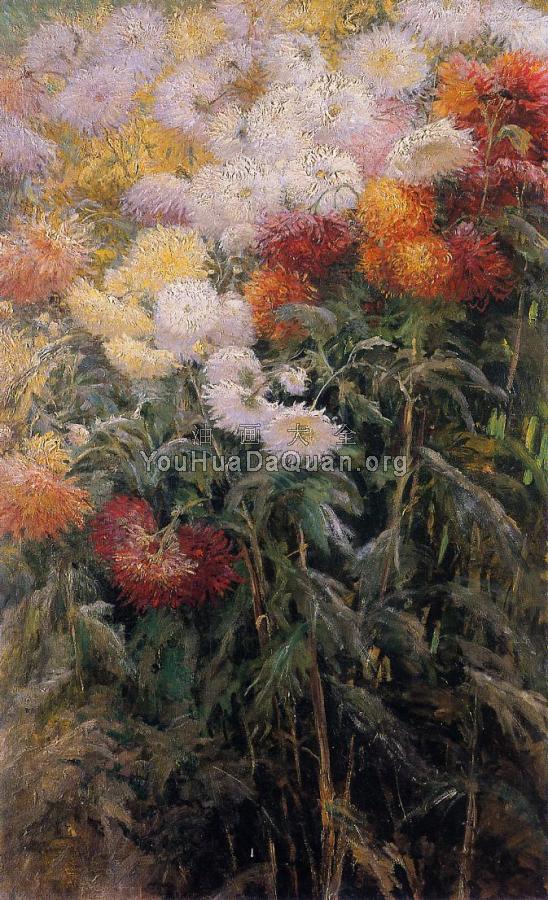 Clump of Chrysanthemums Garden at Petit Gennevilliers - 古斯塔夫·卡里伯特